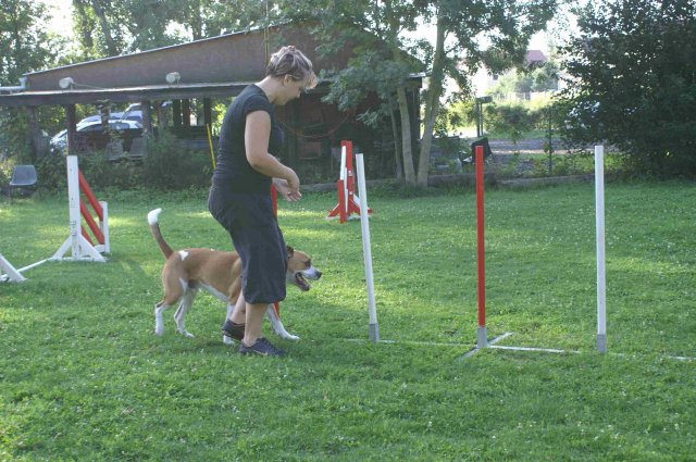 agility 2011-08